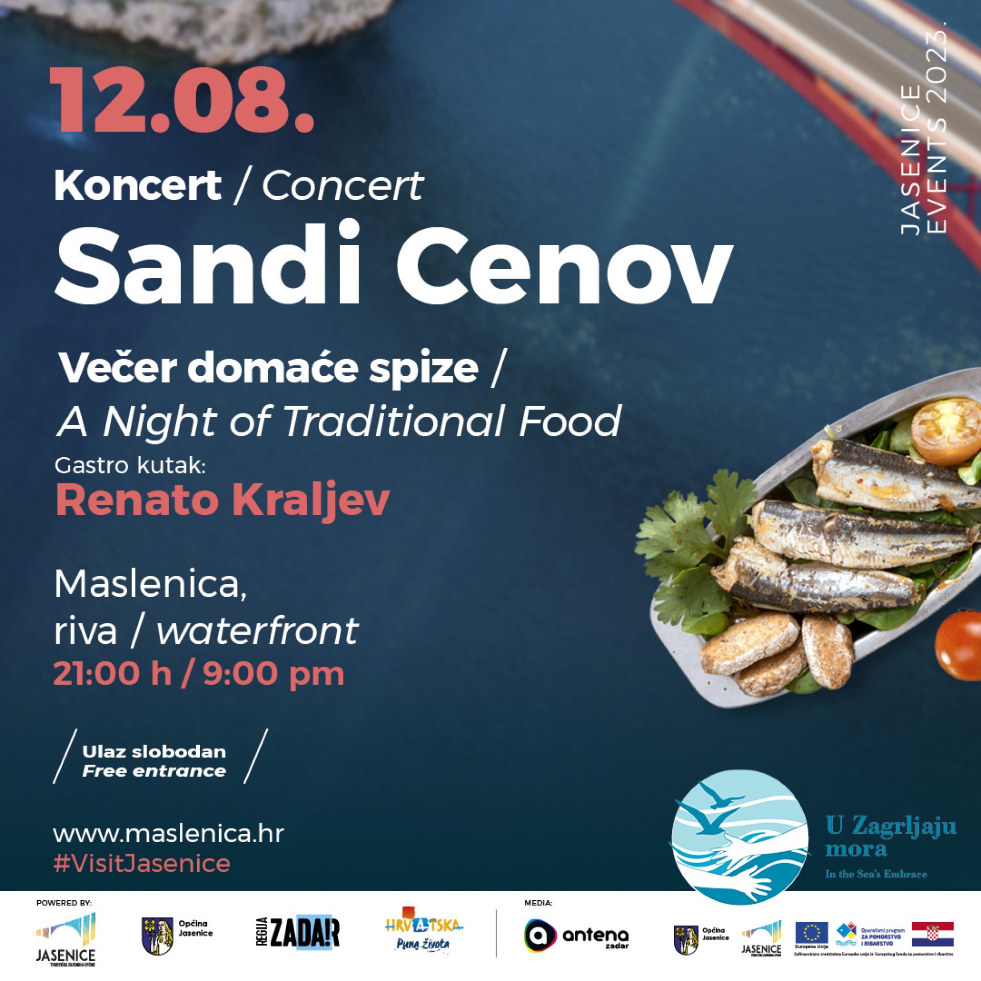Concert - Sandi Cenov